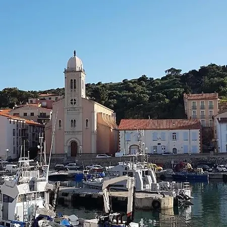 Apartment Comme Maison Clim Et Ventilateurs Aux Pieds Du Port Et Des Plages Et 2km Collioure