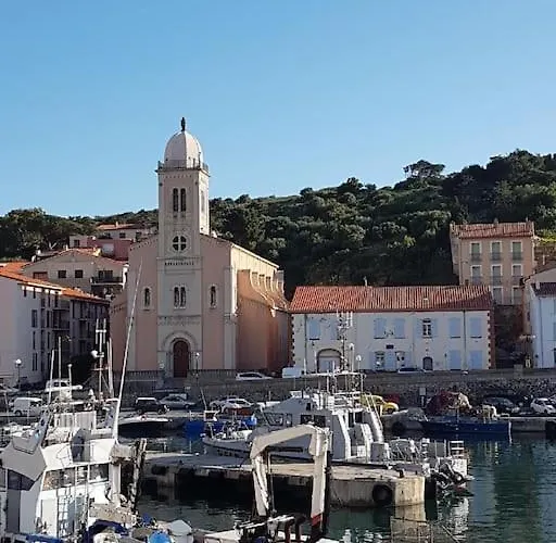Διαμέρισμα Comme Maison Clim Et Ventilateurs Aux Pieds Du Et Des Plages Et 2km Collioure