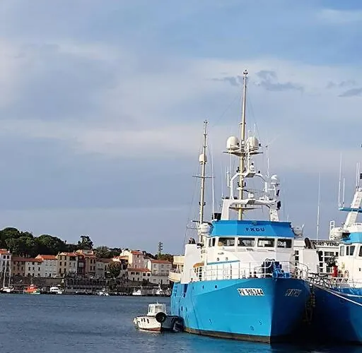 Comme Maison Clim Et Ventilateurs Aux Pieds Du Et Des Plages Et 2km Collioure Διαμέρισμα